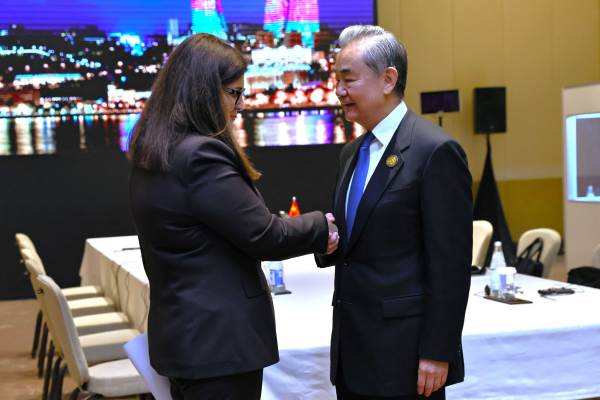 王毅 巴勒斯坦1.jpg